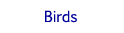 bird cards