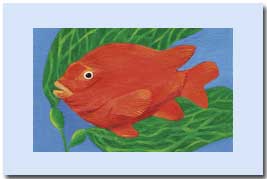 gariboldi fish in the kelp