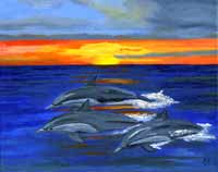 dolphins at sunset