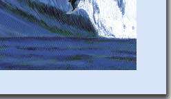 surfer on wave greeting card