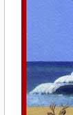 ocean waves holiday card