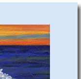 swiming dolphins painting and greeting card