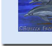 dolphins in ocean at sunset greeting card