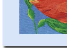 fish in the kelp greeting card