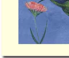 humming bird by flower in hand made greeting card