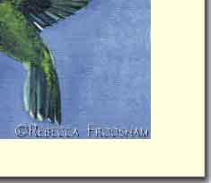 humming bird polinating flower stationary greeting cardcard