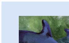 dolphin dorsal fin handmade greeting card