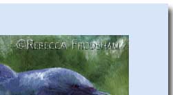 dolphin greeting card