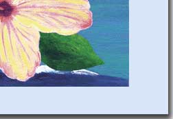 yellow hibiscus flower greeting  card