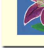 flower petal handcrafted greeting cardcard