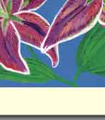 lily greeting card