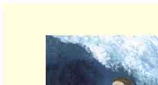 surfer girl on wave handmade greeting card