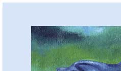 dolphin greeting card