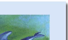 dolphins swiming handmade greeting card