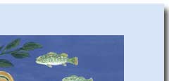 fish in water greeting card