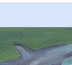 dolphin dorsal fin handmade greeting card