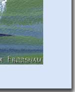 sea life dolphin themed greeting card