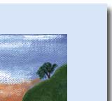 tree above beach in greeting card image