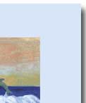 sunset over ocean with dolphins greeting card