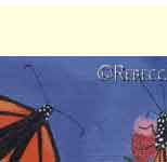 monarch greeting card