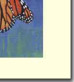 butterfly wings greeting card