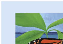 monarch butterfly by the sea greeting card