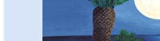 full moon greeting card