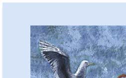 seagul and otter handmade greeting card