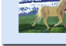 horse greeting card