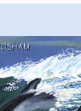 dolphins in waves greeting  card