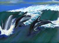 pure bliss (dolphin) art print